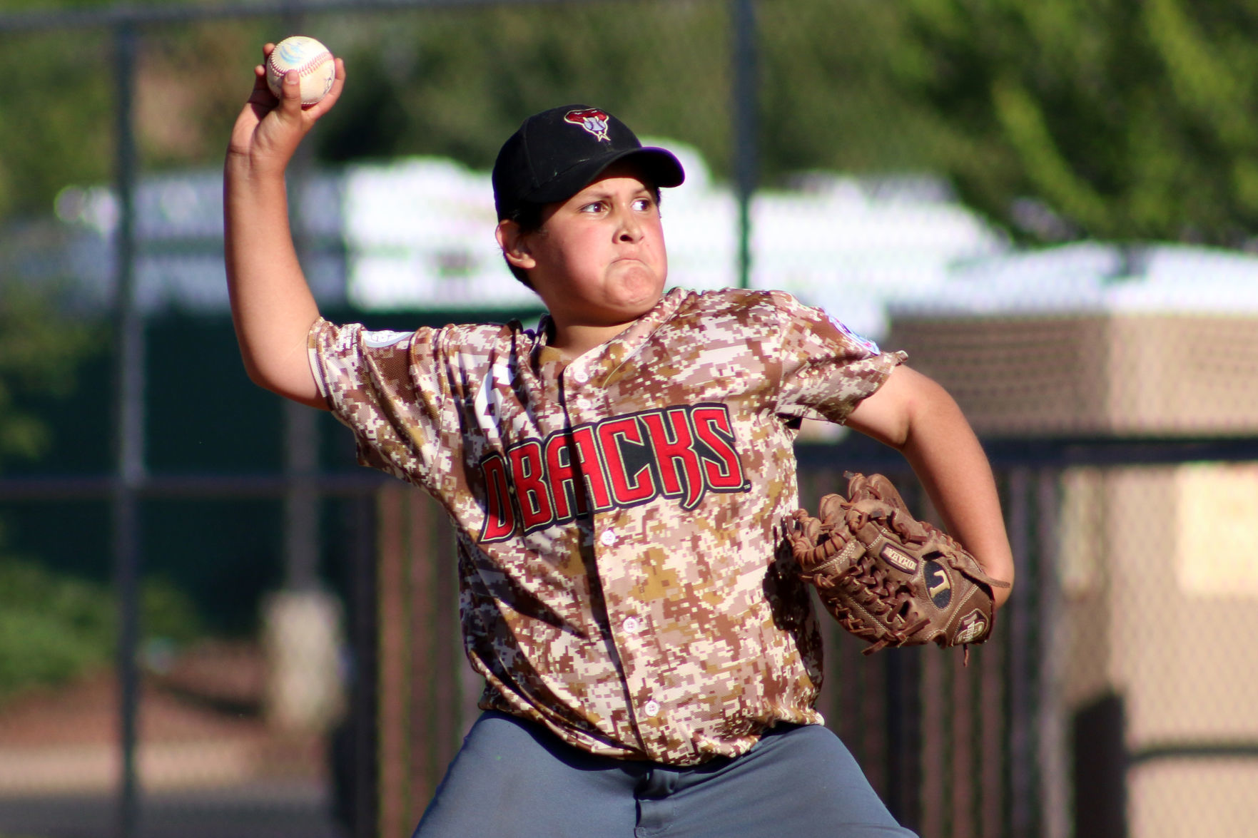 Delivering the pitch